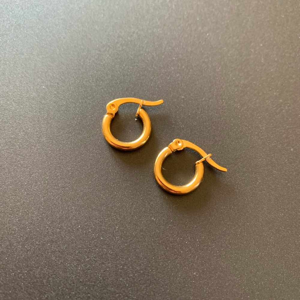 Stainless steel biggie earrings